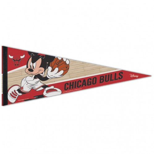 Disney - PREMIUM PENNANT 12" X 30"