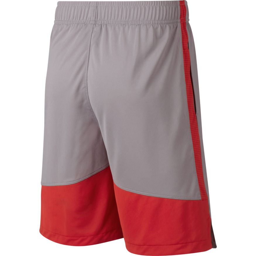 Kids Nike Dri-FIT Dominate Shorts